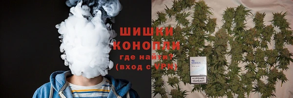 ПСИЛОЦИБИНОВЫЕ ГРИБЫ Алексеевка