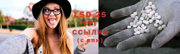 ПСИЛОЦИБИНОВЫЕ ГРИБЫ Алексеевка