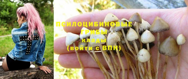 стафф Алзамай