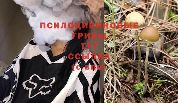 ПСИЛОЦИБИНОВЫЕ ГРИБЫ Алексеевка