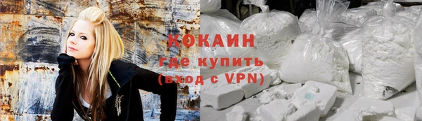 стафф Алзамай