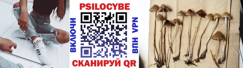 Купить  Долинск  Псилоцибиновые грибы мухоморы 